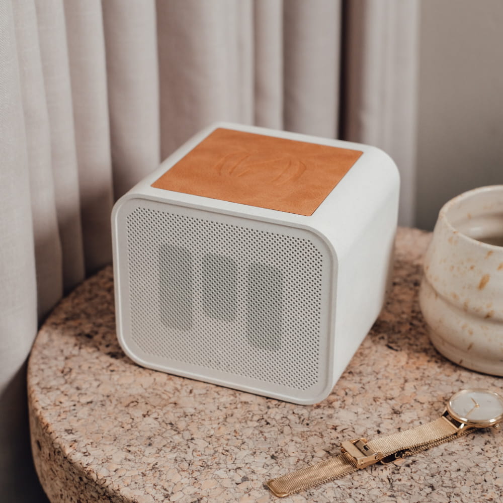 GREAT SOUND IN A COMPACT DESIGN – TWS CAPABILITY